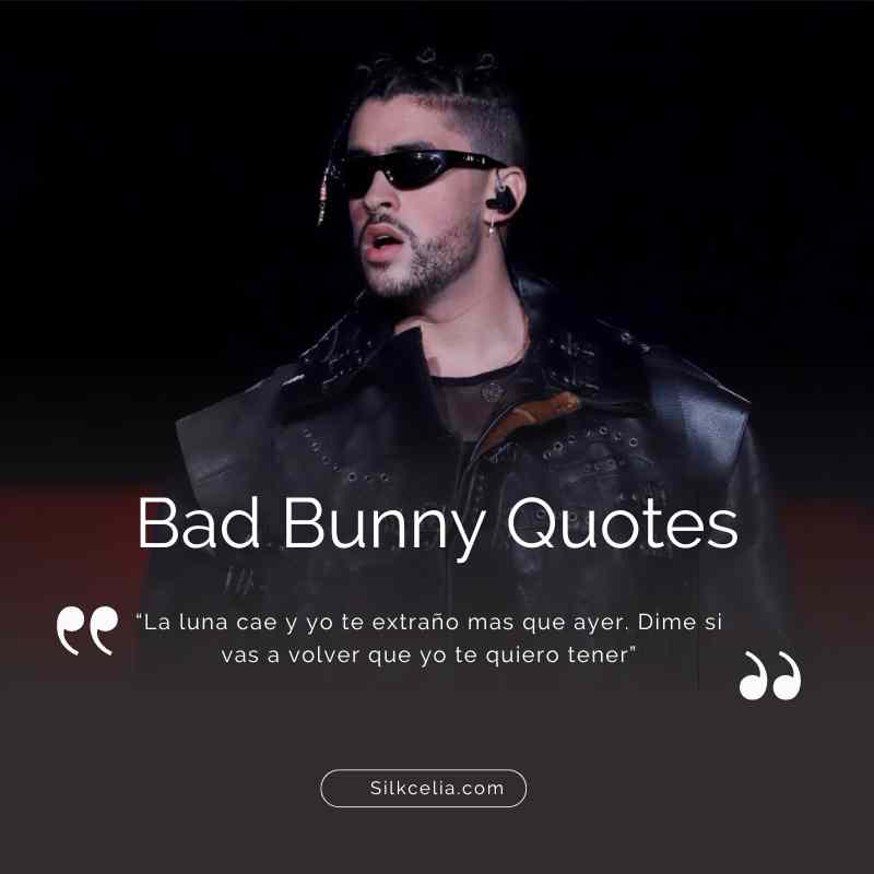 Best Bad Bunny Quotes in Spanish