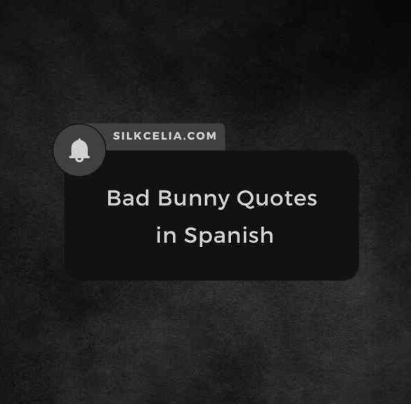 bad bunny quotes in spanish