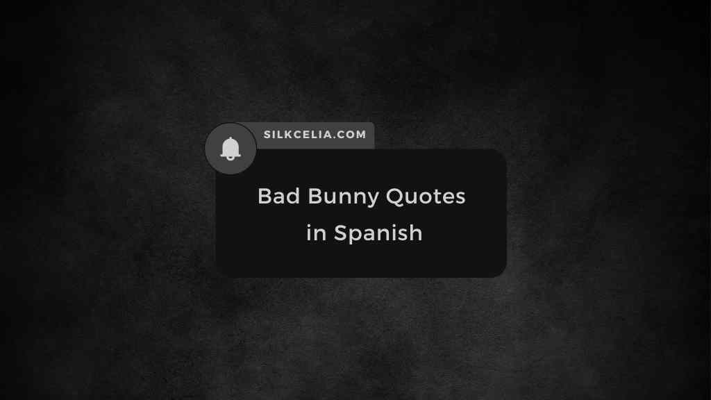 bad bunny quotes in spanish