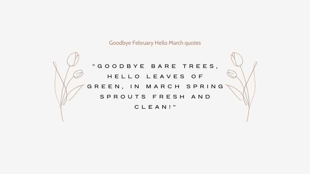 Goodbye February Hello March quotes